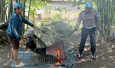 Tindaklanjuti-Laporan-Warga-Polisi-Bongkar-Arena-Sabung-Ayam-di-Seketi-Balongbendo